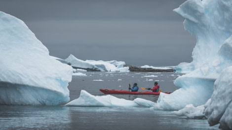 HDS27a-20, DAY 06 Charcot-5030 - Oceanwide Expeditions.jpg