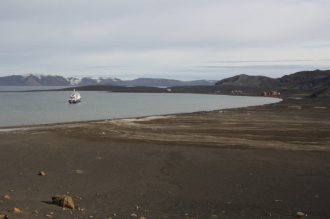 PLA29-20, Day 08, Whalers Bay, Half Moon Island, D8_RegisPerdriat (9) -Oceanwide Expeditions.jpg