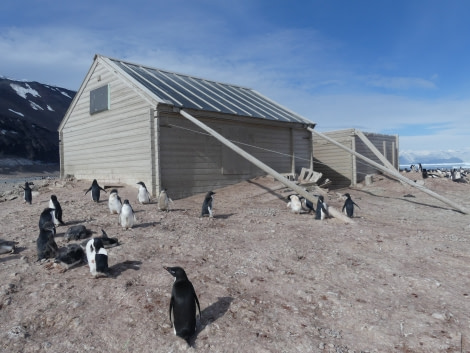 OTL27-20, Cape Adare, Living hut & storage hut exteriors, Victoria Salem -Oceanwide Expeditions.JPG