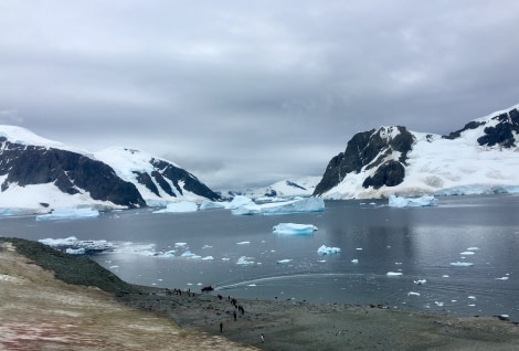 PLA29-20, Day 07, Danco, Orne, Day7_Liller_Steffi_landingDancoisland -Oceanwide Expeditions.jpg