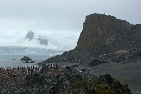 PLA29-20, Day 08, Whalers Bay, Half Moon Island, D8_RegisPerdriat (23) -Oceanwide Expeditions.jpg