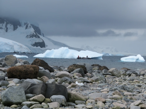 HDS29-20, DAY 07, 11 FEB Miriam Dobrowolski 5 - Oceanwide Expeditions.jpg