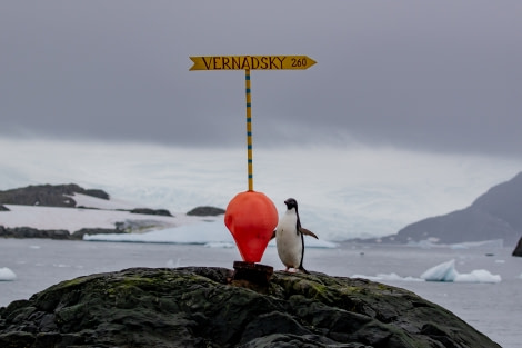 HDS30-20, DAY 05, 19 FEB pippalow-6092 - Oceanwide Expeditions.jpg