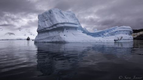 HDS29-20, DAY 06, 10 FEB Port Lockroy 9 - Oceanwide Expeditions.jpg