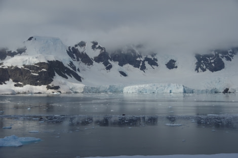 PLA30-20, Day 07, 22 FEB, Damoy & Stony, D7 helene (16) -Oceanwide Expeditions.JPG