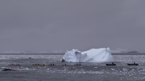 HDS30-20, DAY 05, 19 FEB Yalours 6 - Oceanwide Expeditions.jpg