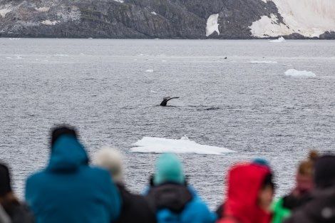 HDS30-20, DAY 06, 20 FEB pippalow-6428 - Oceanwide Expeditions.jpg