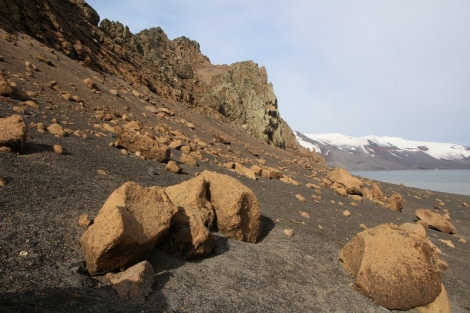 PLA29-20, Day 08, Whalers Bay, Half Moon Island, D8_RegisPerdriat (7) -Oceanwide Expeditions.jpg