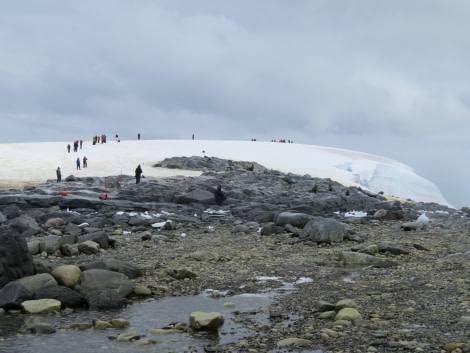 HDS29-20, DAY 07, 11 FEB Miriam Dobrowolski 6 - Oceanwide Expeditions.jpg