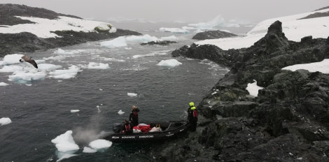 PLA30-20, Day 06, 21 FEB, Detaille, DetailleIsland_CelineClement -Oceanwide Expeditions.jpg