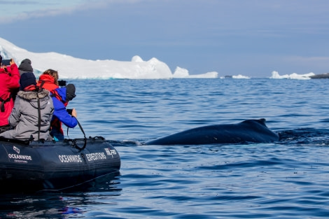 HDS29-20, DAY 05, 09 FEB pippalow-4156 - Oceanwide Expeditions.jpg