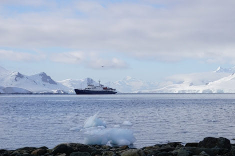 PLA30-20, Day 07, 22 FEB, Damoy & Stony, StonyeyPoint_Plancius_Steffi_Liller -Oceanwide Expeditions.JPG