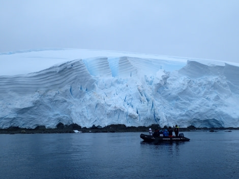 PLA30-20, Day 08, 23 FEB, Wilhelmina & Foyn, Day 8 helene (2) -Oceanwide Expeditions.JPG