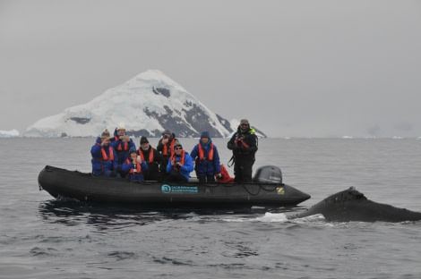 PLA30-20, Day 08, 23 FEB, Wilhelmina & Foyn, WilhelminaBay_CelineClement3 -Oceanwide Expeditions.JPG