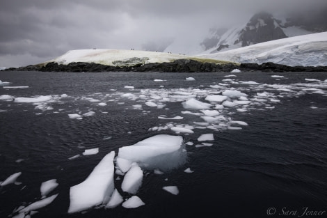 HDS29-20, DAY 07, 11 FEB Dobrowolski 2 - Oceanwide Expeditions.jpg