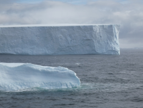 PLA30-20, Day 06, 21 FEB, Detaille, P1030142 -Oceanwide Expeditions.JPG