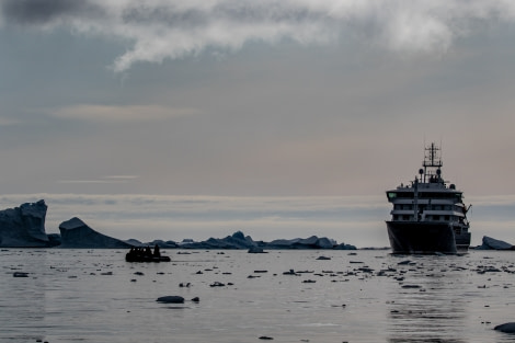 HDS30-20, DAY 04, 18 FEB pippalow-6027 - Oceanwide Expeditions.jpg