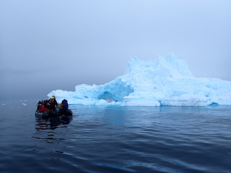 PLA30-20, Day 08, 23 FEB, Wilhelmina & Foyn, Day 8 helene (1) -Oceanwide Expeditions.JPG