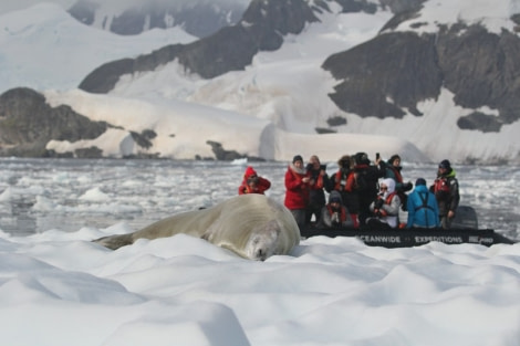 PLA30-20, Day 07, 22 FEB, Damoy & Stony, D7_RegisPerdriat (18) -Oceanwide Expeditions.jpg