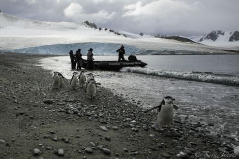 HDS31-20, Day 12, 06 Mar Orcadas 14 - Oceanwide Expeditions.jpg