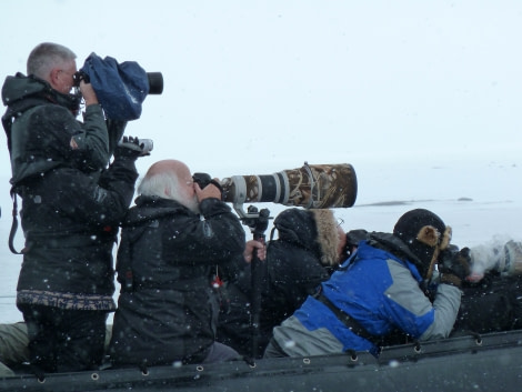 north spitsbergen_summer solstice © jan michiels-oceanwide expeditions (23).jpg