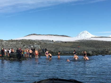 PLA31-20, Day 07, Damoy_Jougla Point polarplungedamoy_Steffi_Liller -Oceanwide Expeditions.JPG