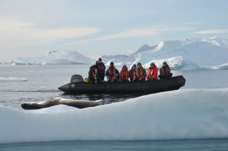 PLA31-20, Day 06, Lemaire_Petermann_Pleneau ZodiacCruise1_icebergs_CelineClement -Oceanwide Expeditions.JPG