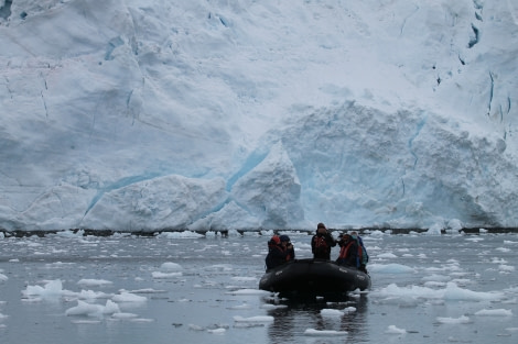 PLA31-20, Day 05, Brown_Neko IMG_5974 -Oceanwide Expeditions.JPG