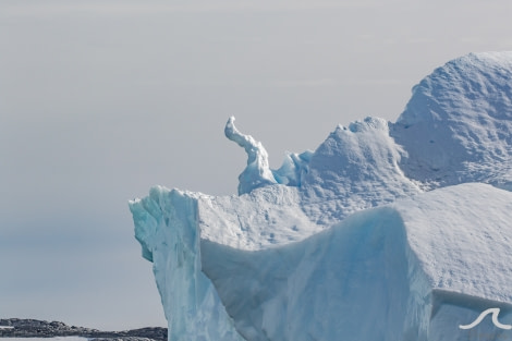 PLA31-20, Day 06, Lemaire_Petermann_Pleneau pippalow-6804 -Oceanwide Expeditions.jpg