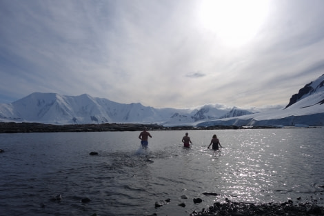 PLA31-20, Day 07, Damoy_Jougla Point Nelleke 3 -Oceanwide Expeditions.jpeg