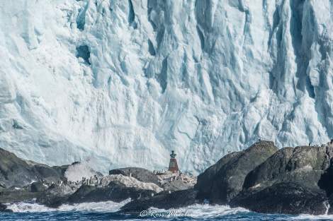 Point Wild, Elephant Island  © Ross Wheeler - Oceanwide Expeditions.jpg