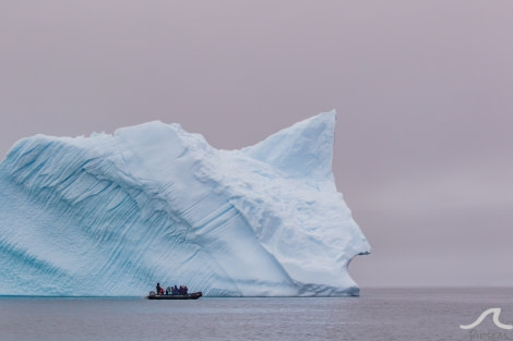 PLA31-20, Day 08, Foyne_Orne pippalow-7087 -Oceanwide Expeditions.jpg