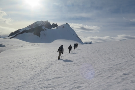 PLA31-20, Day 07, Damoy_Jougla Point 02 Jabet Pk, Dorian Bay Dave McKinley -Oceanwide Expeditions.jpg