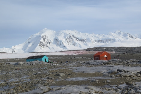 PLA31-20, Day 07, Damoy_Jougla Point 01Jabet Pk, Dorian Bay Dave McKinley -Oceanwide Expeditions.jpg