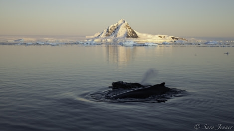 HDS31-20, Day 16, 10 Mar Below the circle 9 - Oceanwide Expeditions.jpg