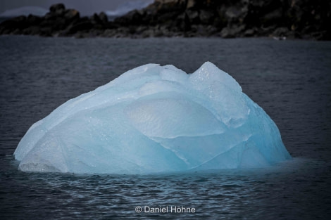 HDS31-20, Day 12, 06 Mar 5D2A3628 - Oceanwide Expeditions.jpg