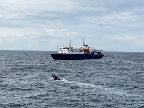 PLA32-20, deck activities, IMG_4495 Dorette Kuipers - Oceanwide Expeditions.jpg