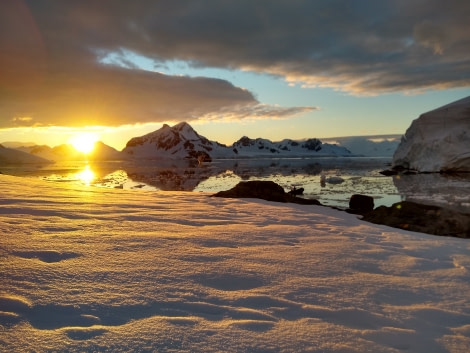 Camping bivy bags, Antarctica open air © Rustyn Mesdag - Oceanwide Expeditions (17).jpg