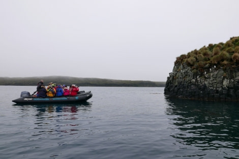 OTL28-20, 18 Feb, Zodiac cruise, Auckland Island, Victoria Salem - Oceanwide Expeditions.JPG