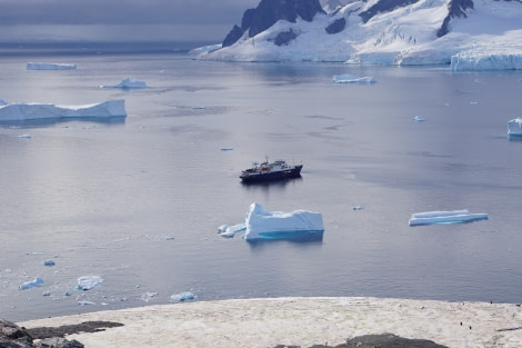 PLA32-20, Day 04, 12 March Danco2_Steffi_Liller - Oceanwide Expeditions.JPG