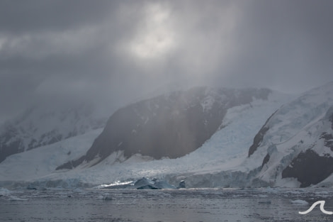 PLA32-20, Day 06, 14 March, pippalow-8403 - Oceanwide Expeditions.jpg