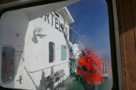 OTL28-20, 09 Mar, Ortelius Bridge window-cleaning, Victoria Salem - Oceanwide Expeditions.JPG