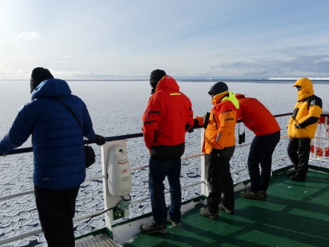 OTL28-20, 01 Mar, Watching pancake ice, Victoria Salem - Oceanwide Expeditions.jpg