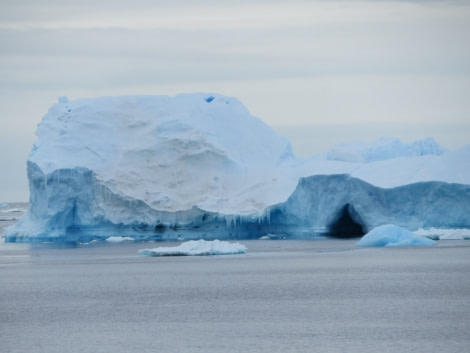 Weddell Sea