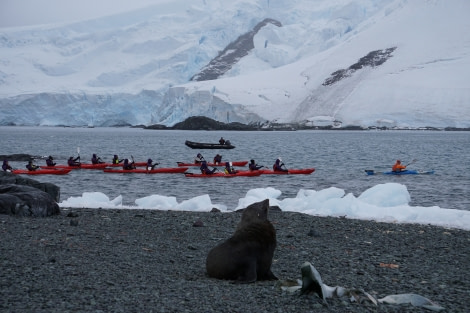 PLA32-20, Day 08, 16 March, mikelsen6_Steffi_Liller - Oceanwide Expeditions.JPG