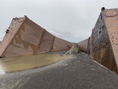 PLA32-20, Day 09, 17 March, Iron Bow WB Whalers Bay, Dorette Kuipers - Oceanwide Expeditions.jpg