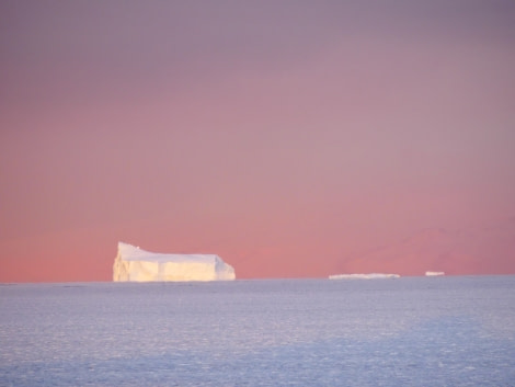 OTL28-20, 29 Feb, Iceberg in pink & purple, Victoria Salem - Oceanwide Expeditions.JPG