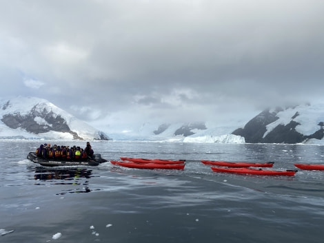 PLA32-20, Day 06, 14 March, Kayakkers returning Andvord Bay, Dorette Kuipers - Oceanwide Expeditions.jpg
