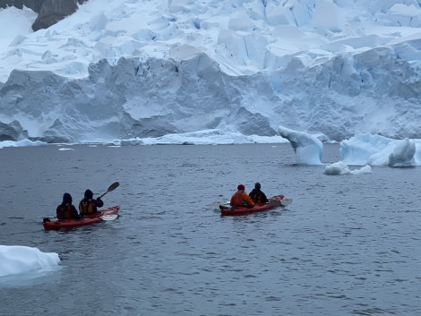 PLA32-20, Day 06, 14 March, Kayakkers Neko 1 Neko Harbour, Dorette Kuipers - Oceanwide Expeditions.jpg