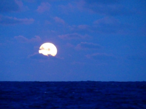 OTL28-20, 09 Mar, Full moon rising 1, Victoria Salem - Oceanwide Expeditions.jpg